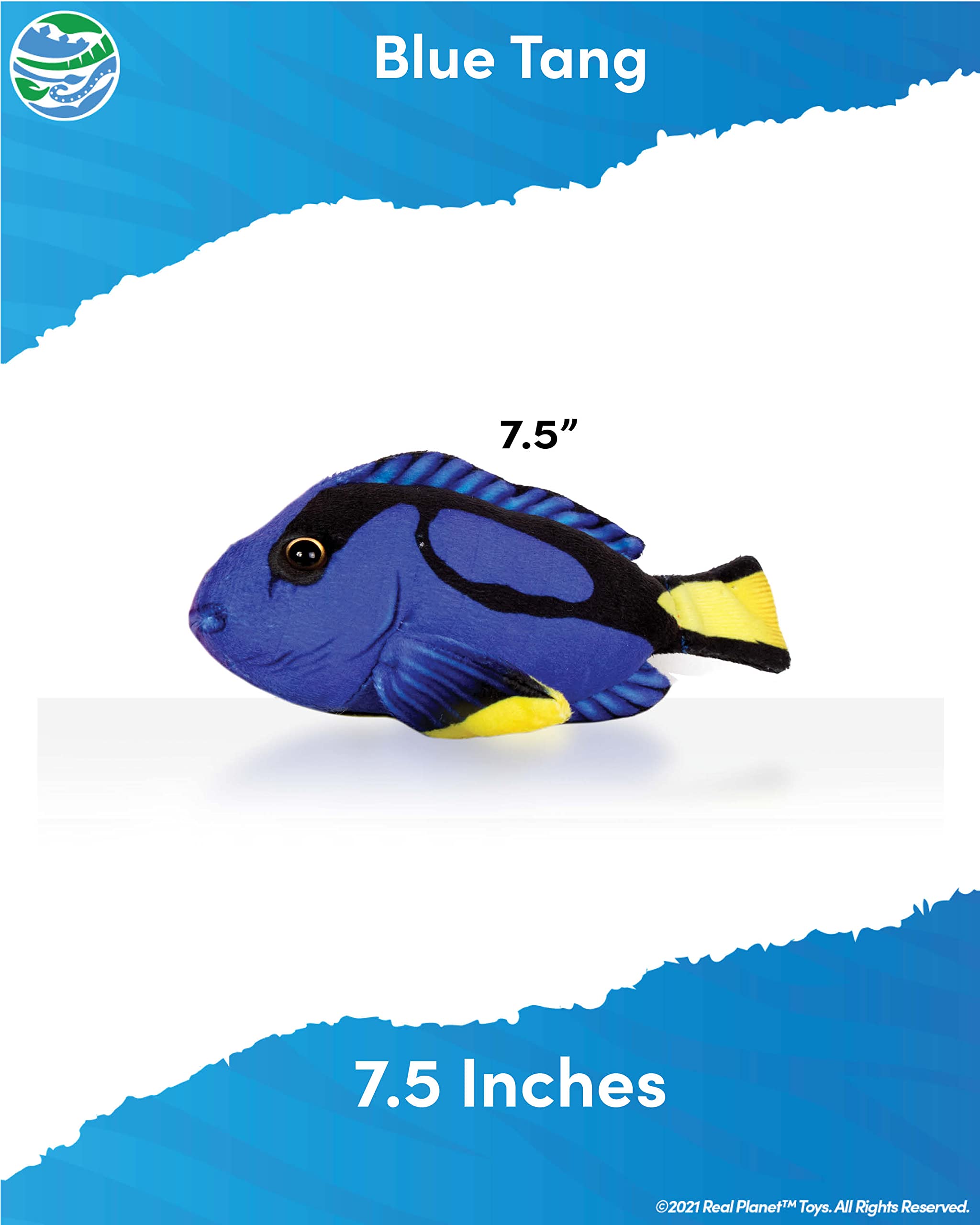 Amazon.com: Real Planet Sea Life Plush - Soft Stuffed Animal Gift